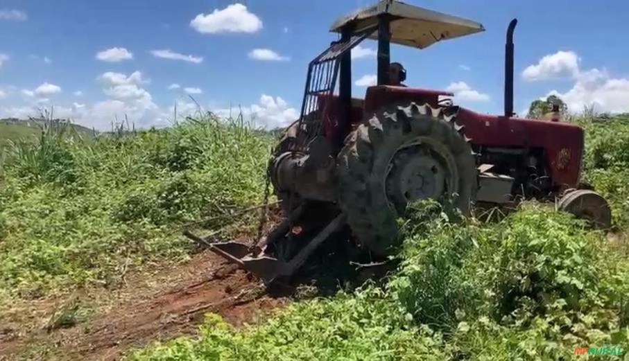 Trator Massey Ferguson 297 Com guincho florestal TMO Imagem Trator Massey Ferguson 297 Com guincho florestal TMO