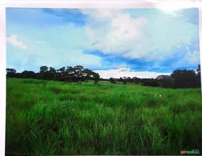 Fazenda para agricultura e pecuária - Faina - GO