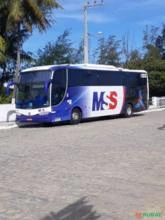 Ônibus g6 Scania ano 2008