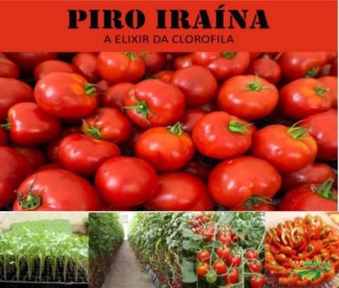 Fumaça Líquida Imagem Fumaça Líquida