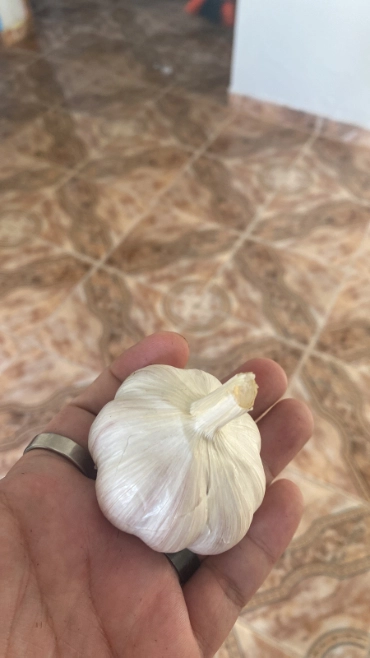 Imagem Alho Argentino Premium Imagem Alho Argentino Premium