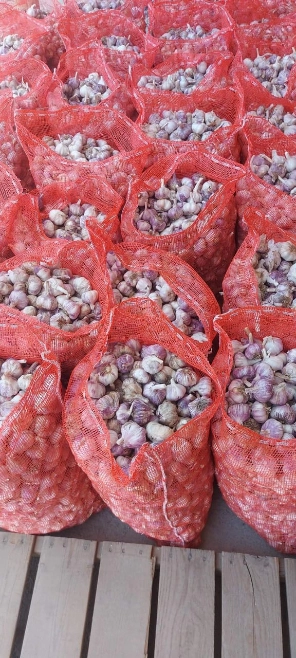 Imagem Alho Argentino Premium Imagem Alho Argentino Premium