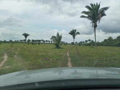 Fazenda para Pecuária no Maranhão