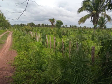 Fazenda para Pecuária no Maranhão