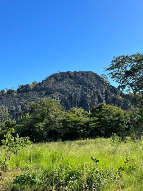 VENDA DE MINAS DE CALCARIO - TO Imagem VENDA DE MINAS DE CALCARIO - TO