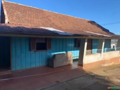 Imagem Madeira de Araucária Imagem Madeira de Araucária