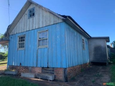 Imagem Madeira de Araucária Imagem Madeira de Araucária