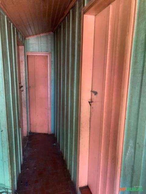 Imagem Madeira de Araucária Imagem Madeira de Araucária