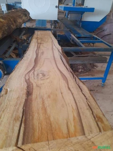 Madeira de Mogno Imagem Madeira de Mogno