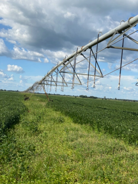 Imagem Pivo Central de Irrigaçao Imagem Pivo Central de Irrigaçao