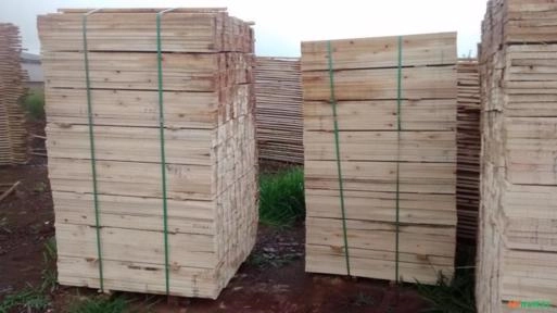 Imagem MADEIRA SERRADA E CAVACO DE EUCALIPTO Imagem MADEIRA SERRADA E CAVACO DE EUCALIPTO