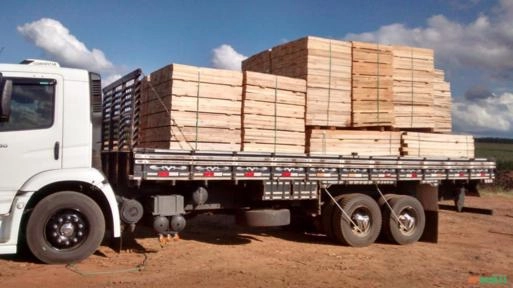 Imagem MADEIRA SERRADA E CAVACO DE EUCALIPTO Imagem MADEIRA SERRADA E CAVACO DE EUCALIPTO