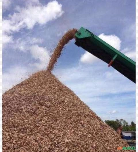 Imagem MADEIRA SERRADA E CAVACO DE EUCALIPTO Imagem MADEIRA SERRADA E CAVACO DE EUCALIPTO