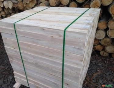 Imagem MADEIRA SERRADA E CAVACO DE EUCALIPTO Imagem MADEIRA SERRADA E CAVACO DE EUCALIPTO