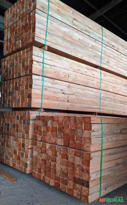 Imagem MADEIRA SERRADA E CAVACO DE EUCALIPTO Imagem MADEIRA SERRADA E CAVACO DE EUCALIPTO