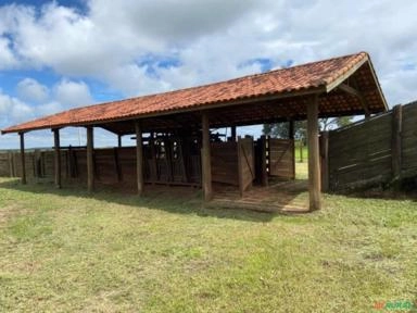 Vendo Curral de aroeira Imagem Vendo Curral de aroeira