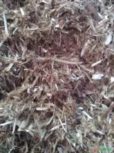 Casca de madeira - Biomassa