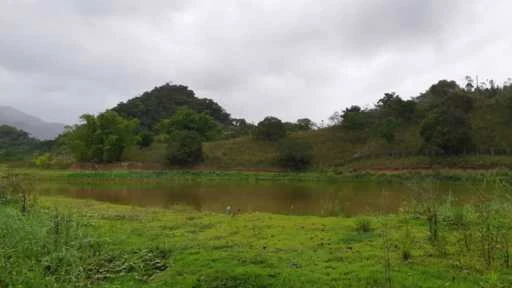 Sítio em Itariri (Ana dias) - SP - 7.4 hectares