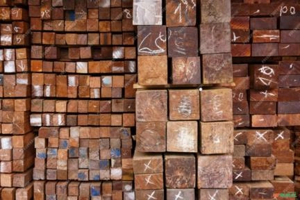 Teca serrada bruta Imagem Teca serrada bruta