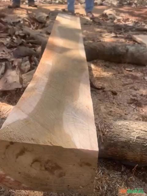 Imagem Teca em blocos Imagem Teca em blocos