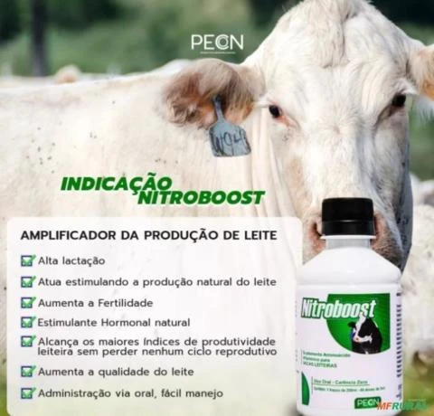 Nitroboost 190ml  - Suplemento para aumento Da Lactação E Qualidade Em Vacas de Leite