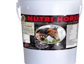 Nutrisal Horse 10kg Crescimento Ganho de Massa Cavalos Equinos C/ Creatina