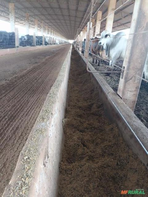 Imagem Mão de obra especializada em barracões bases de Silo balança Rodoviária contrução em geral Imagem Mão de obra especializada em barracões bases de Silo balança Rodoviária contrução em geral
