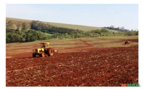 Procuro fazenda para arrendamento de Soja Imagem Procuro fazenda para arrendamento de Soja