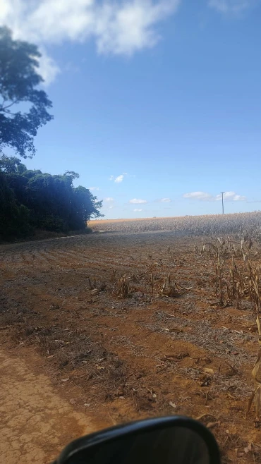 CHÁCARA NÚCLEO RURAL PIPIRIPAU - DF