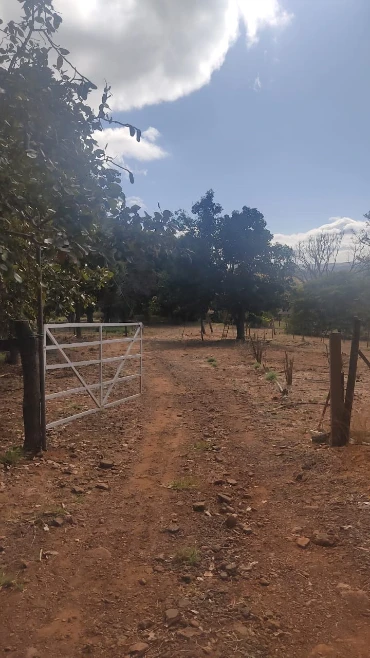 CHÁCARA NÚCLEO RURAL PIPIRIPAU - DF