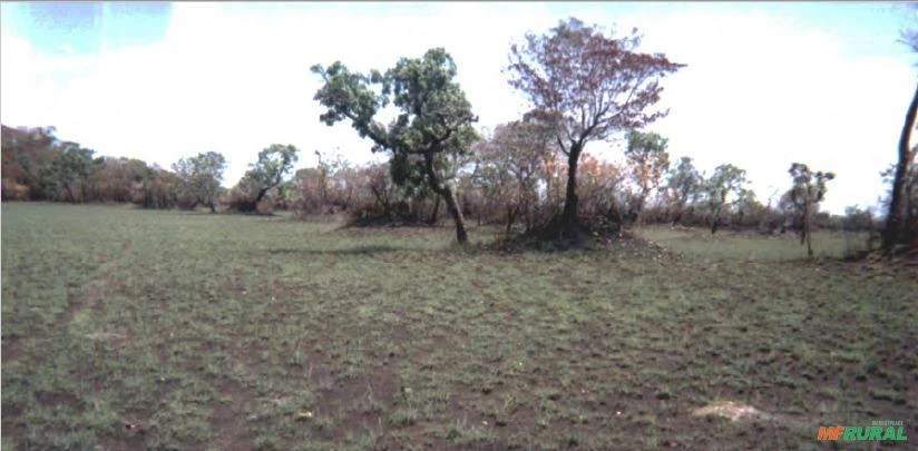 ÁREA DE CERRADO PARA COMPENSAÇÃO DE ÁREA DE RESERVA LEGAL DEGRADADA