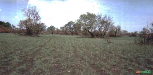 ÁREA DE CERRADO PARA COMPENSAÇÃO DE ÁREA DE RESERVA LEGAL DEGRADADA