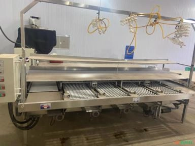 Máquina Classificadora de Ovos Imagem Máquina Classificadora de Ovos