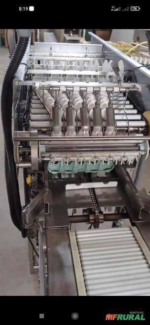 Embaladora de ovos Imagem Embaladora de ovos