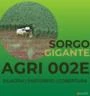 Semente Sorgo Gigante