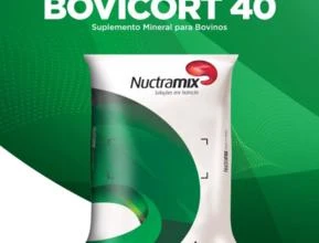BOVICORT 40 - Suplemento Mineral para Bovinos