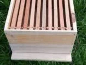 Caixa de abelha