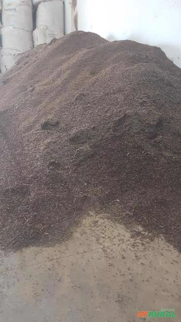 PALHA DE CAFÉ Imagem PALHA DE CAFÉ