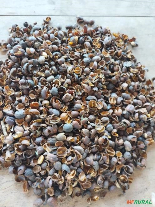 Palha melosa Imagem Palha melosa