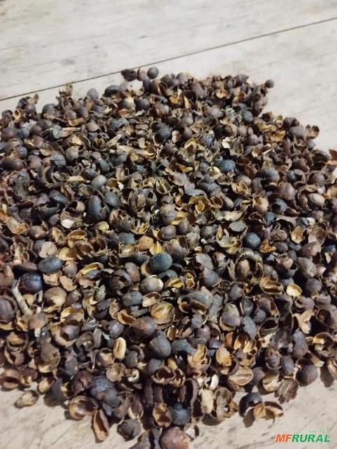 Imagem Palha melosa Imagem Palha melosa