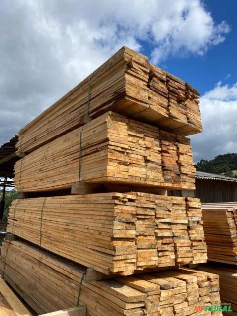 Madeira Serrada de Eucalipto Imagem Madeira Serrada de Eucalipto