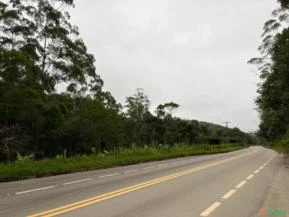 Imóvel Rural com plantação de Eucaliptos - 22,5 Hectares - Salezópolis