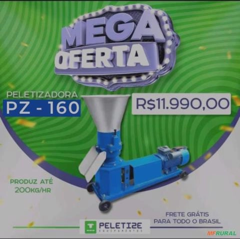 Peletizadora modelo 160 Imagem Peletizadora modelo 160