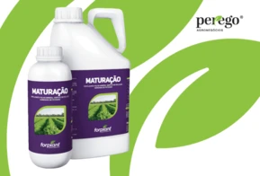 Fertilizante Foliar - Maturação