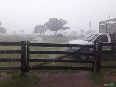 FAZENDA NELORE. 231 ALQUEIRES ,EM  DOIS IRMÃOS - TO.