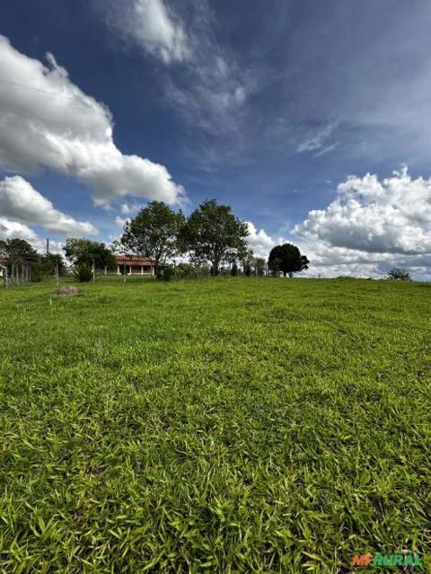 Sítio de 23.000m2 entre Botucatu/Conchas: 2 casas e amplia área para plantio