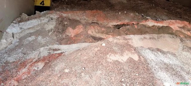 Imagem Varredura para Pastagem Imagem Varredura para Pastagem