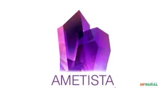 Jazida de Ouro Imagem Jazida de Ouro