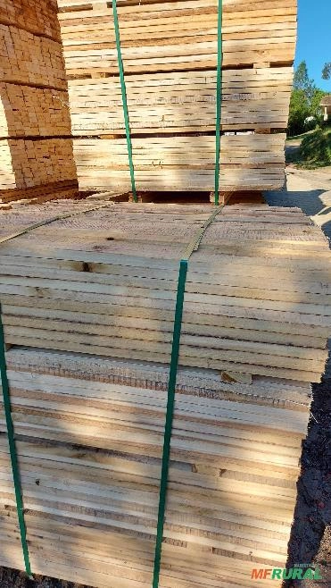 Madeira Serrada de eucalipto Imagem Madeira Serrada de eucalipto