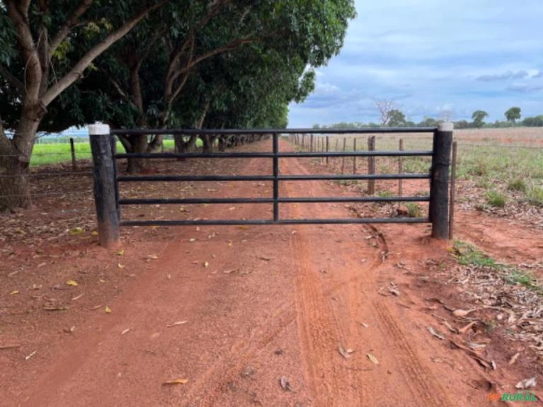 Porteira Para Fazenda Imagem Porteira Para Fazenda